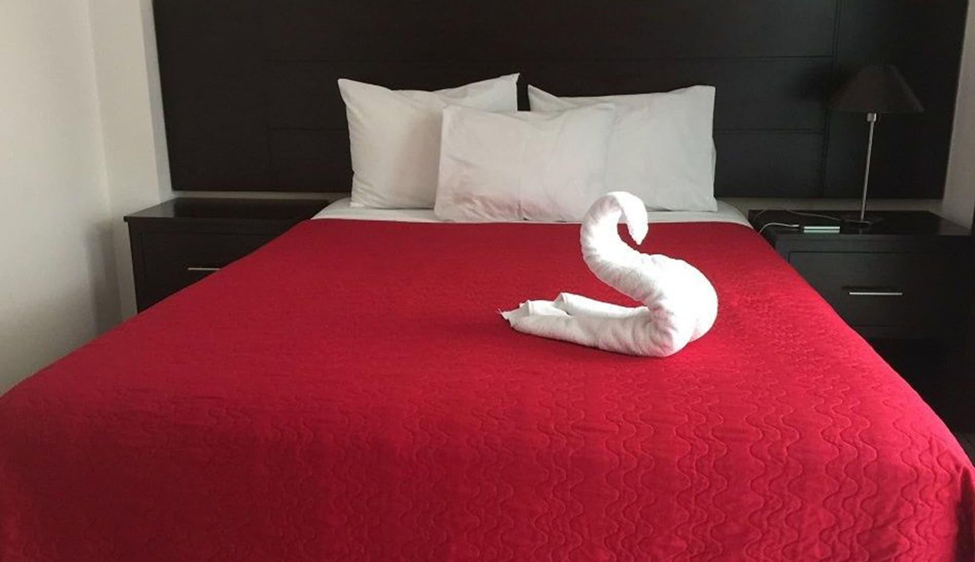 Hotel Villa Florencia Zona Rosa サンサルバドル エクステリア 写真